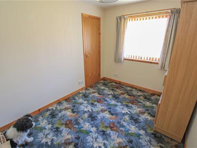 Picture 14